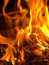 Close-up of bonfire at night