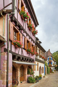 Street with historical half-timbered houses in kaysersberg, alsace, france