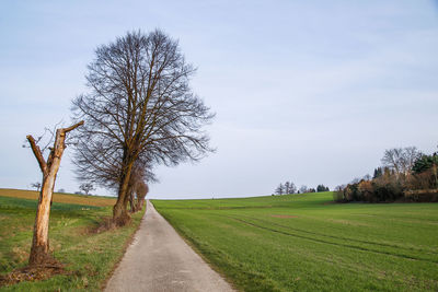 Scenic view of grassy field against sky