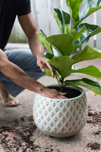 Low section of man putting soil in potted plant