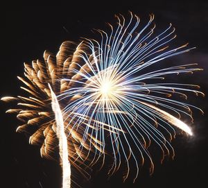 Low angle view of firework display at night