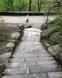 Full length of man on steps by trees