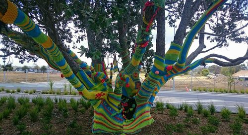 Plants growing on tree trunk