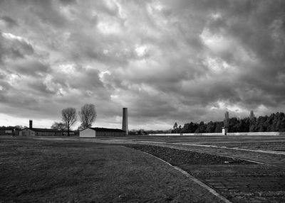 Trees on field against sky