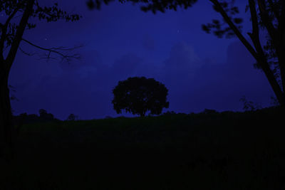 Silhouette trees on field against sky at night