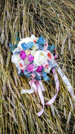 High angle view of flowers growing in field