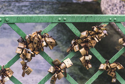 Close-up of padlocks on railing