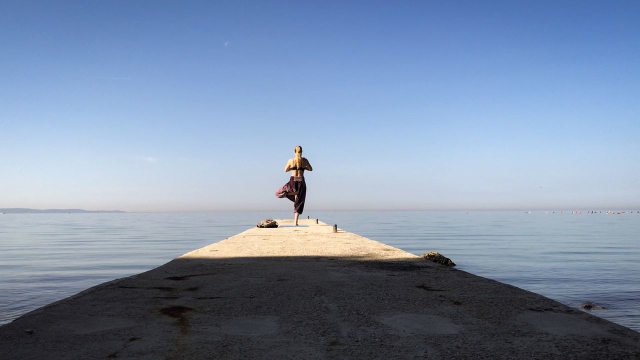 REAR VIEW OF PERSON ON BEACH AGAINST SKY