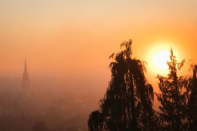 Silhouette of trees during sunset