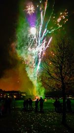 Illuminated trees at night