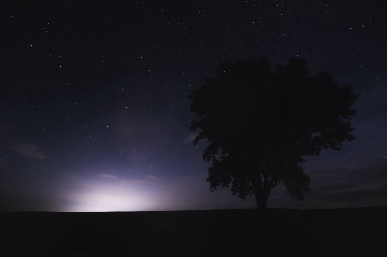 tranquil scene, tranquility, scenics, beauty in nature, night, silhouette, sky, star - space, tree, nature, star field, astronomy, idyllic, landscape, dark, star, majestic, space, galaxy, low angle view