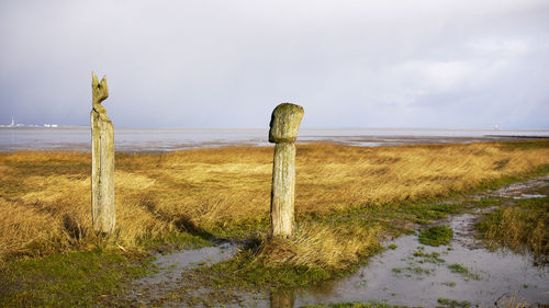 Wooden posts on field against sky