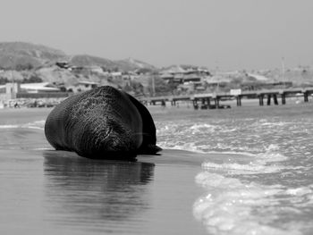 Surface level of sea against clear sky