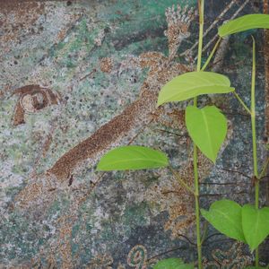 Close-up of ivy growing on plant