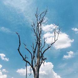 Low angle view of bare tree against cloudy sky