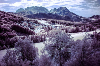 Panoramic view of cherry trees and mountains against sky