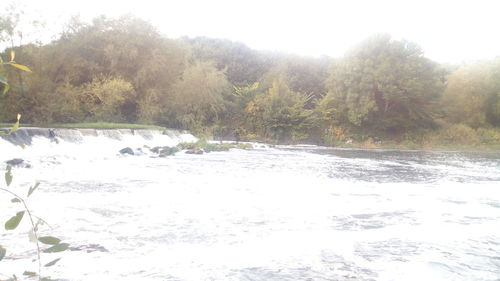 Scenic view of river in forest against clear sky