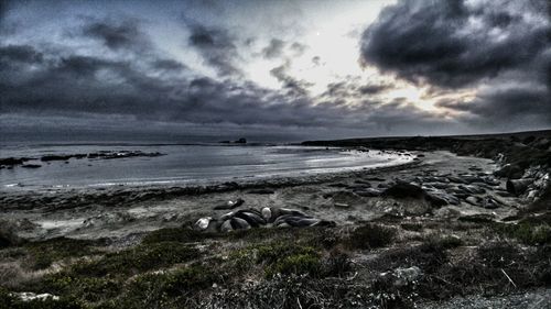 Scenic view of beach against cloudy sky