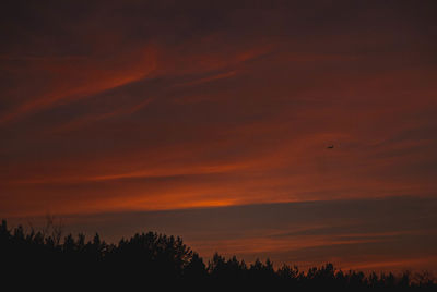 Low angle view of silhouette trees against orange sky