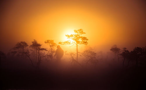 Silhouette trees on landscape against orange sky