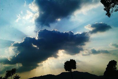 Low angle view of silhouette trees against sky