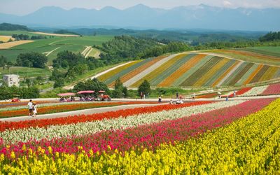 Scenic view of field against cloudy sky