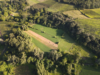 High angle view of agricultural field