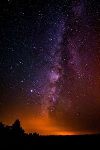Low angle view of silhouette trees against star field at night