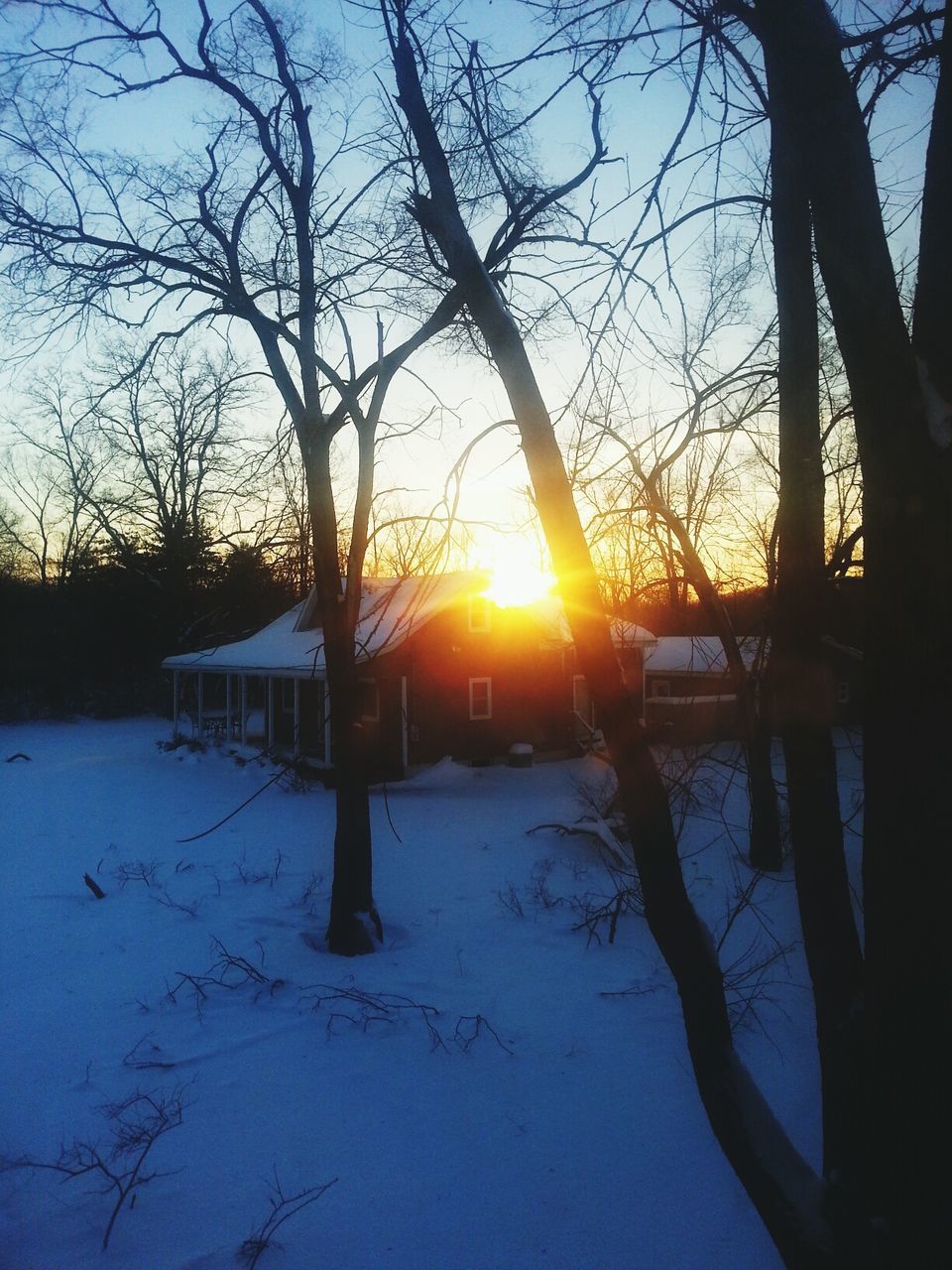 sun, sunset, snow, winter, sunlight, tree, cold temperature, tranquility, tranquil scene, scenics, beauty in nature, nature, bare tree, sunbeam, orange color, sky, built structure, tree trunk, silhouette, lens flare