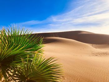 Scenic view of desert against sky