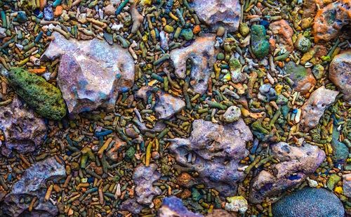 Full frame shot of leaves