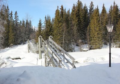 Footbridge on snow covered field