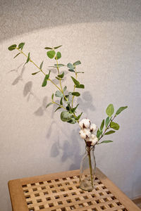 Close-up of vase on table against wall