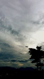 Low angle view of airplane flying in sky