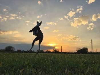 Silhouette man jumping on field against sky during sunset