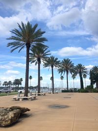 Palm trees on beach against sky