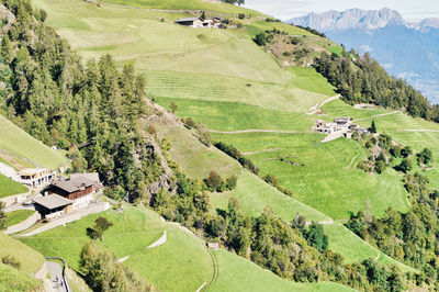 High angle view of grassy field