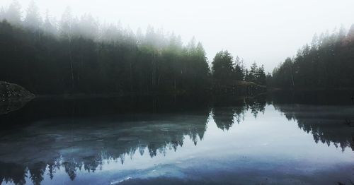 Scenic view of lake in forest against sky