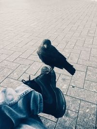 High angle view of man sitting on sidewalk