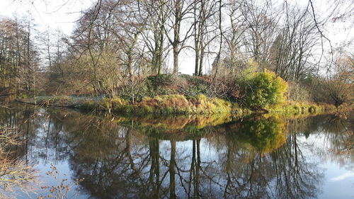 Trees by lake in forest against sky