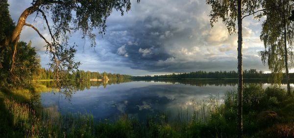 Reflection of trees in lake