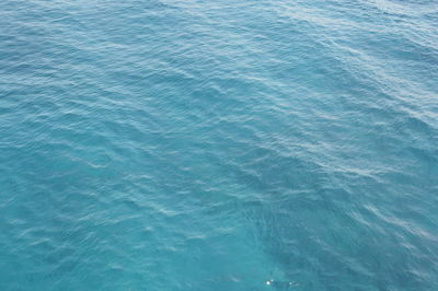 High angle view of swimming pool in sea