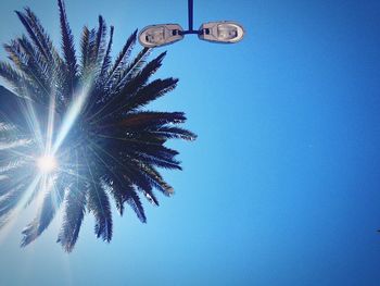 Low angle view of palm trees against clear blue sky