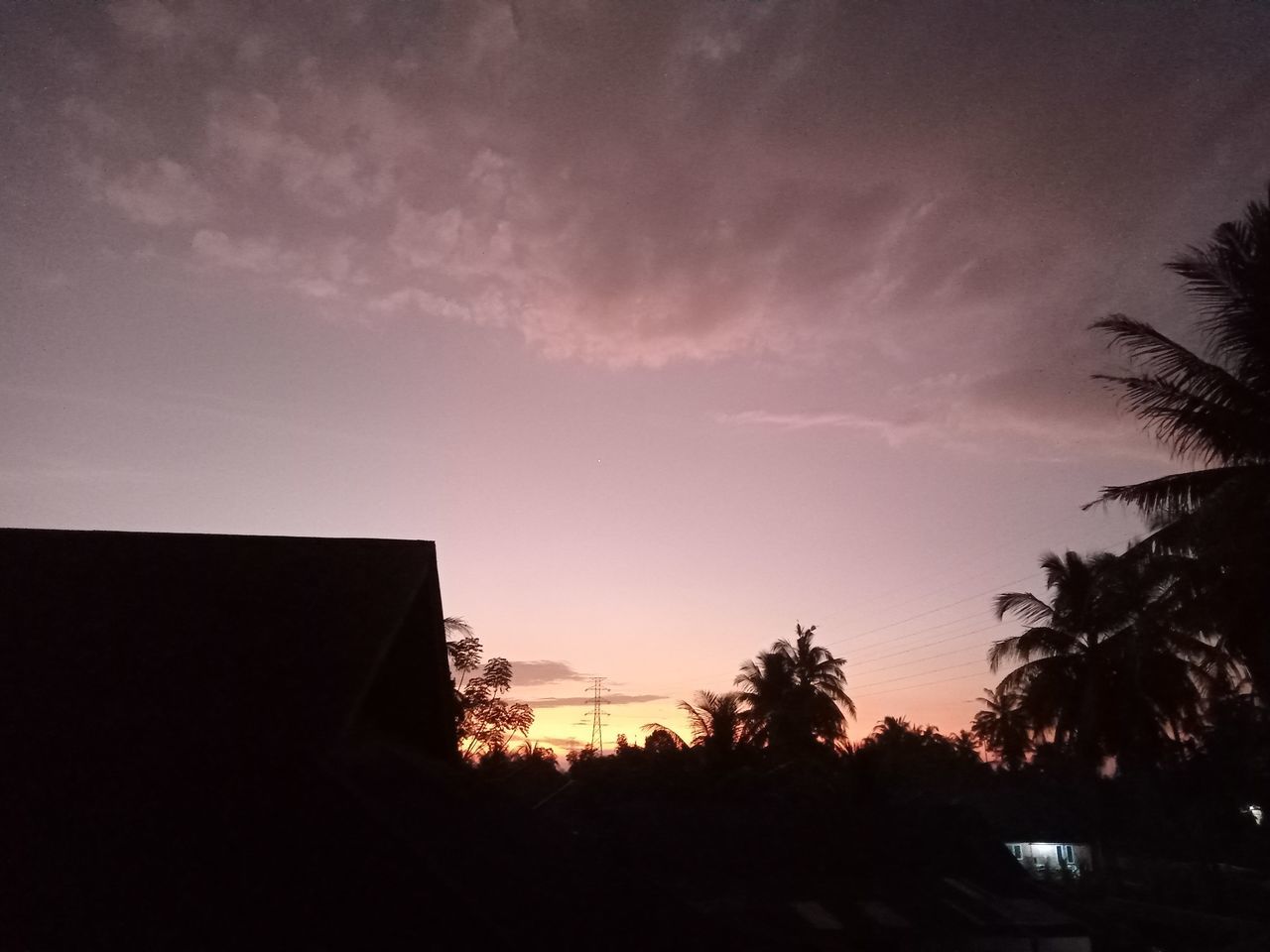 sky, tree, cloud, sunset, silhouette, darkness, nature, architecture, plant, dusk, no people, palm tree, built structure, beauty in nature, building exterior, night, outdoors, evening, building, tropical climate, horizon, house, light, dark, scenics - nature, city