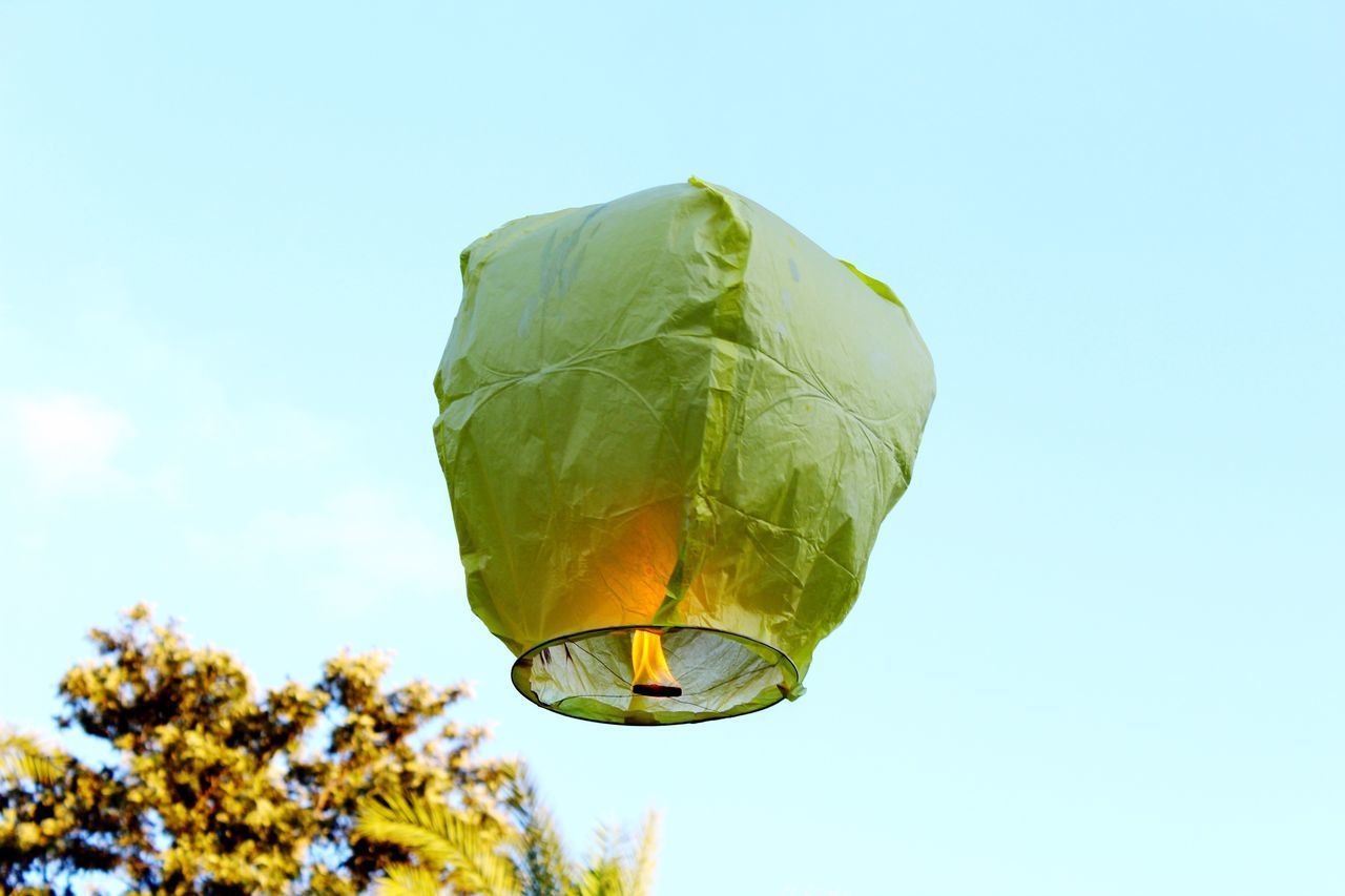 LOW ANGLE VIEW OF LEAF AGAINST SKY