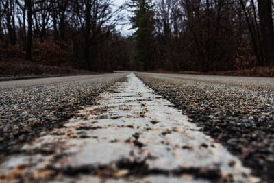 Surface level of road amidst trees in forest