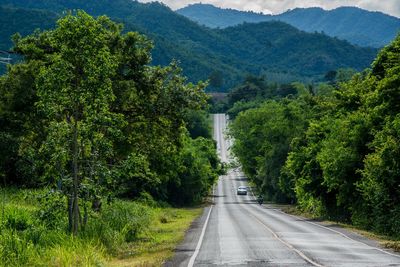 Road amidst trees and mountains