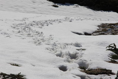 Scenic view of snow covered land