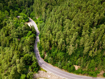 High angle view of road amidst trees in forest