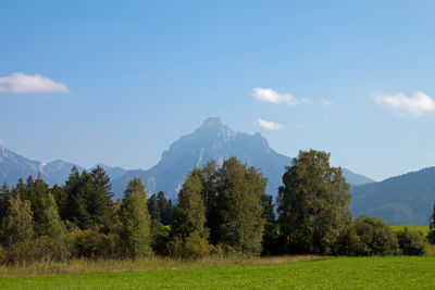 Scenic view of trees and mountains against sky